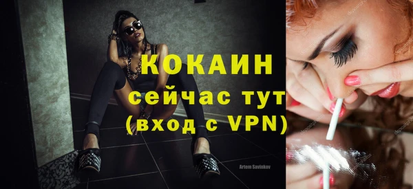 мдпв Ельня