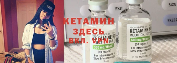 мдпв Ельня