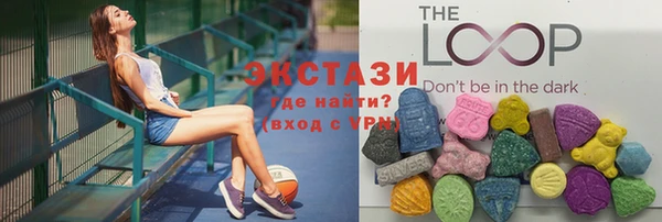 мдпв Ельня