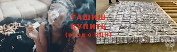 СК Елизово
