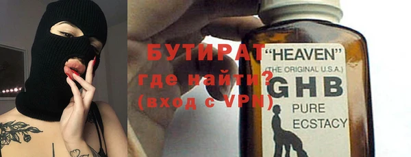 мдпв Ельня