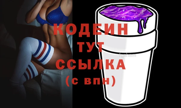 СК Елизово