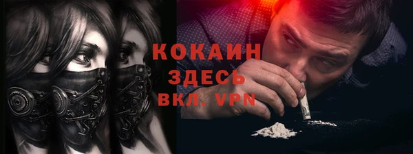 мдпв Ельня