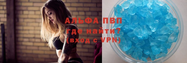 мдпв Ельня