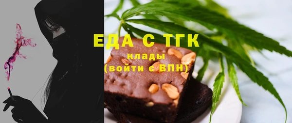 мдпв Ельня