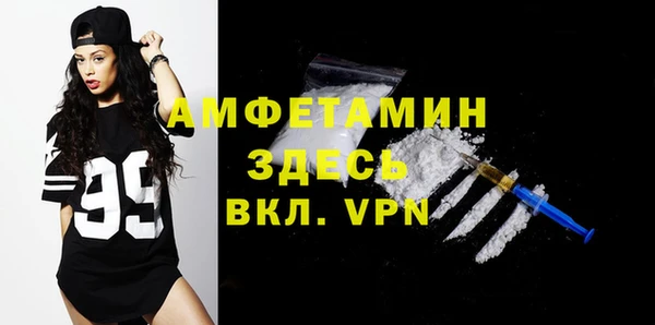 мдпв Ельня