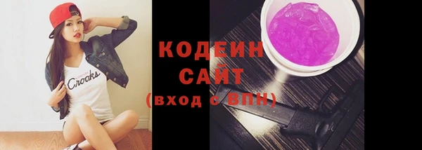 мдпв Ельня