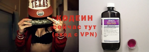 мдпв Ельня