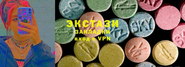 мдпв Ельня