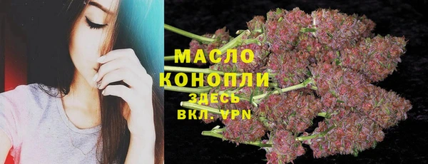 СК Елизово