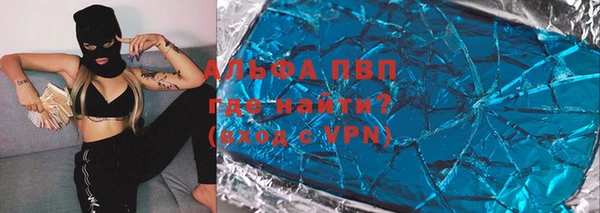 мдпв Ельня