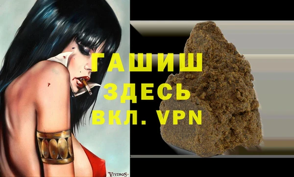 мдпв Ельня