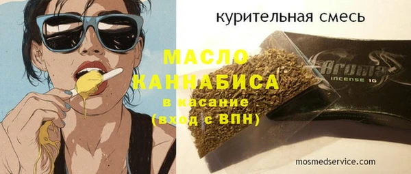 мдпв Ельня