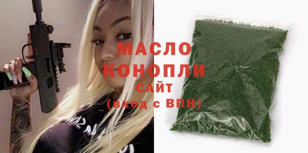 мдпв Ельня