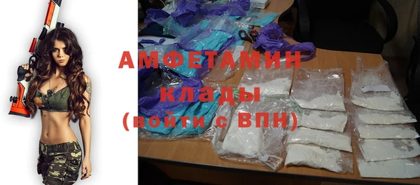 мдпв Ельня