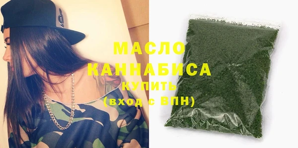 мдпв Ельня