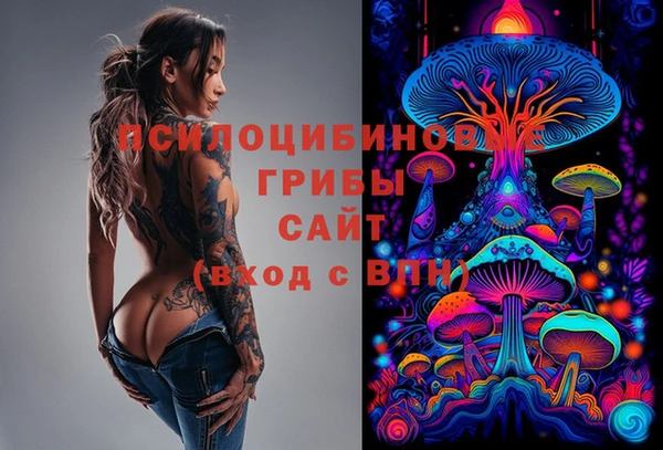 СК Елизово