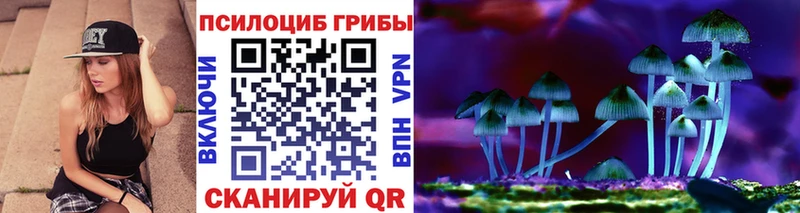 Псилоцибиновые грибы мицелий  darknet формула  Шацк 